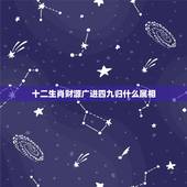 十二生肖财源广进四九归什么属相，四九两边开是指哪个生肖