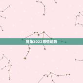 属兔2022感情运势，2023年属兔人的全年运势