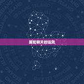 属蛇明天的运势，今年属蛇的人运势怎样