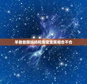 羊爸爸猴妈妈和兔宝宝属相合不合，猴妈妈 羊爸爸 生虎宝宝还是兔宝宝好？