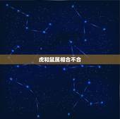 虎和鼠属相合不合，鼠和虎属相合吗