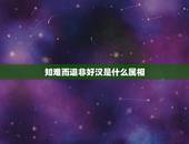 知难而退非好汉是什么属相，“不到长城非好汉”是什么意思？