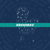 属猪的如何取名字，五行属水15画吉祥字详解