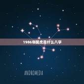 1986年属虎是什么八字，1986年属虎人2022年运势女
