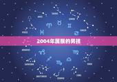 2004年属猴的男孩 2004年的属猴的男孩学业如何