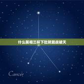 什么属相三杯下肚就能战破天，三杯下肚浑身胆，弱小变猛敢战天打一生肖