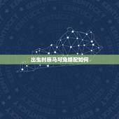 出生时辰马与兔婚配如何，午时的马与卯时的兔相配吗