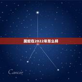 属蛇在2022年怎么样 属蛇的2022年干啥活好