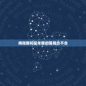拇指猴和鼠年猴的属相合不合，鼠猴和鼠蛇属相合不合