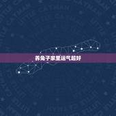 养兔子家里运气超好，老人都说兔子很邪门