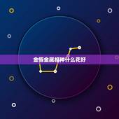 金箔金属相种什么花好，种什么花最旺财，十二生肖各不同