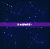 比较旺财的图片，国画九鱼图旺财哪个画家画的最逼真