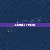 属兔今年多少岁2022，1999年兔男2022年运势