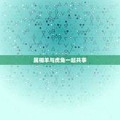 属相羊与虎兔一起共事，属羊与属兔的人在事业合是什么情况两个属相合生意运