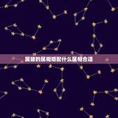 属猪的属相婚配什么属相合适，属猪的人和什么属相最配 属猪的属相婚配表