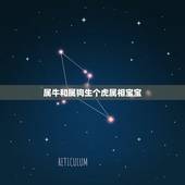 属牛和属狗生个虎属相宝宝，属狗和属牛的生什么属相的孩子比较好