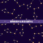 属狗的是什么命五行属什么，2022 年是什么命五行属什么
