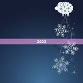 2022 年大利八卦图，2022 年飞星图详解