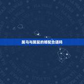 属马与属鼠的婚配合适吗，属鼠和属马相配吗？