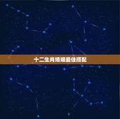 十二生肖婚姻最佳搭配，十二生肖婚姻配对