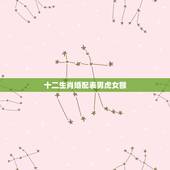 十二生肖婚配表男虎女猴，夫妻男虎跟女猴属相相克怎么可以化解