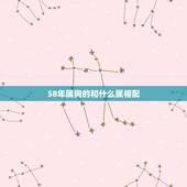 58年属狗的和什么属相配，58年属狗的和64年属龙的能八字合吗