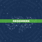 男属龙最佳婚配属相，我属龙是农历十二月的配什么属相最好