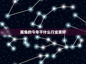 属兔的今年干什么行业更好，属兔2022 年运势及运程