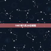 1987年1月20日婚配，1987年1月1日是什么命婚配