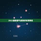 2022最新霸气成熟好听男网名，2023年男人成熟稳重网名
