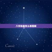 八字排盘怎么看图解，中国易经免费算命官