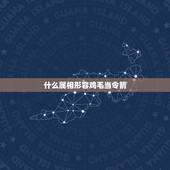 什么属相形容鸡毛当令箭，拿着鸡毛当令箭给个棒槌就当针猜一生肖