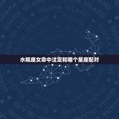 水瓶座女命中注定和哪个星座配对，水瓶座水瓶座女和什么星座最配