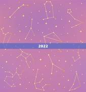 2022 年有灾的日柱，日柱最怕天克地冲
