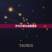 炉中火命86虎取名字，姓李属虎1986年女炉中火命起什么名字好呢