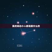 属虎身边小人都是属什么的，属虎未来三年贵人