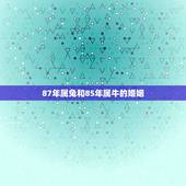 87年属兔和85年属牛的婚姻，85年属牛和87年兔合适吗