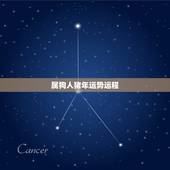 属狗人猪年运势运程，2013年属狗人的运势，2013年属狗人每月运程！