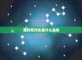 兔的死对头是什么生肖，鸡的冤家是什么生肖