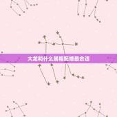 大龙和什么属相配婚最合适，属龙的和什么属相最配？