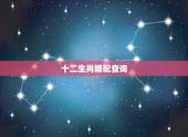 十二生肖婚配查询，生肖配对查询表 属相？