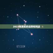 2022年属蛇的运势和财运，1977蛇女的后半生感情
