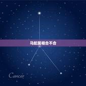马蛇属相合不合，马和蛇属相相配吗