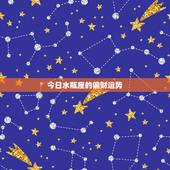 今日水瓶座的偏财运势，请问水瓶座的猪猪今年的运势如何？