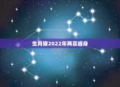 生肖猪2022年两喜缠身 1983年属猪2022年女运势