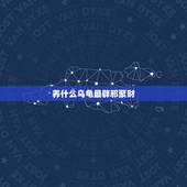 养什么乌龟最辟邪聚财，从风水上说卧室放什么摆件招财旺财又辟邪