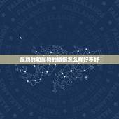 属鸡的和属狗的婚姻怎么样好不好，属狗与属鸡的婚姻怎么样-