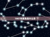 1987年属兔是什么命，1987年属兔34岁后享福