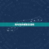 狗与龙的婚配合适吗，狗和龙生肖做夫妻好吗