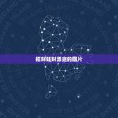 招财旺财漂亮的图片，什么样的头像招财